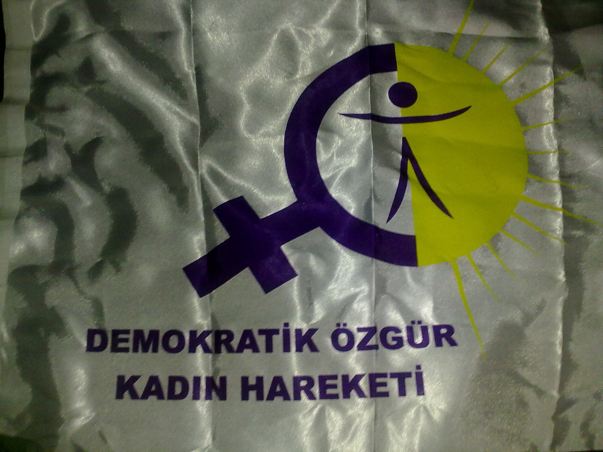 Bandera Movimiento Democrático